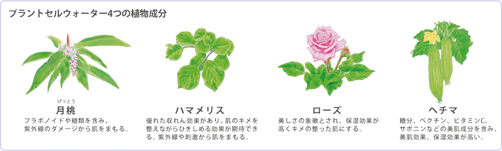 インナップEX お試しセット -株式会社エックスワン