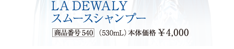 LA DEWALY X[XVv[[iԍ 540]i530mLj {̉i¥4,000